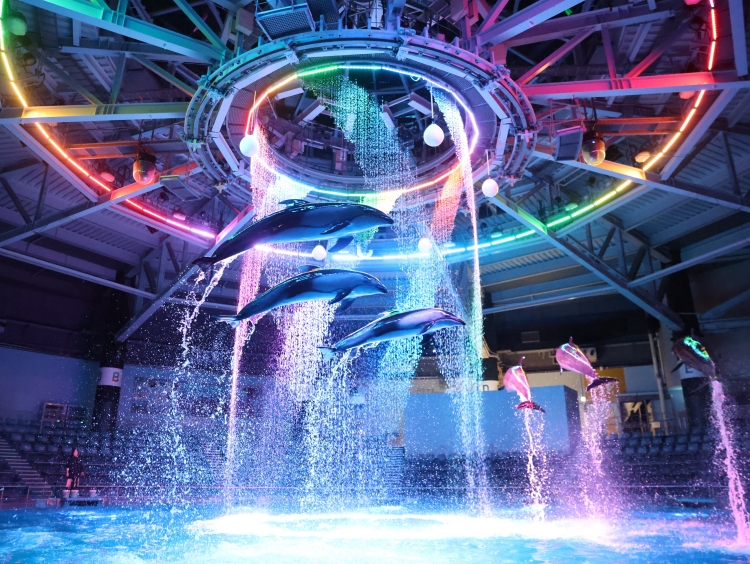 マクセル アクアパーク品川